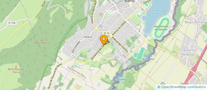 localisation de l'entreprise MADAME ASSIA MAHI à DIVONNE-LES-BAINS