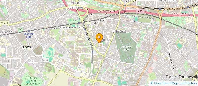 localisation de l'entreprise MADAME ASSIA MOHAMED à LILLE