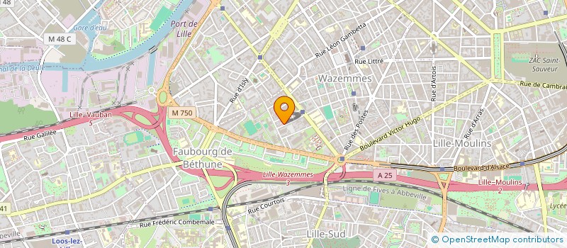 localisation de l'entreprise MADAME ASTARTE ADONG à LILLE