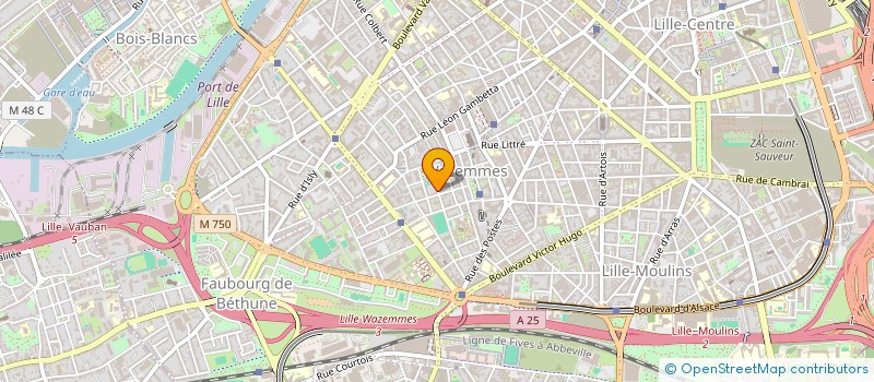 localisation de l'entreprise MADAME ASTOU NGOM à LILLE