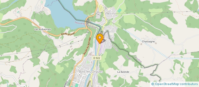 localisation de l'entreprise MADAME ASTRID DE TYSSANDIER D ESCOUS  BORT-LES-ORGUES