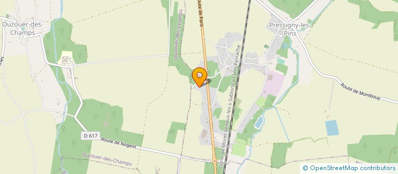 localisation de l'entreprise MADAME AUDE DE BELLESCIZE  VIERZON