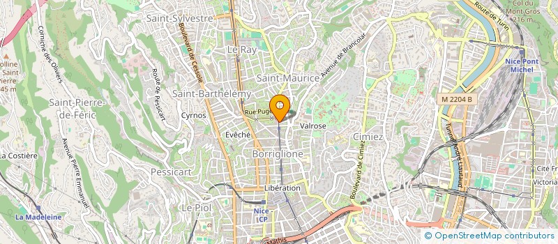 localisation de l'entreprise MADAME AUDE DUMOUCHEL DE PREMARE  NICE