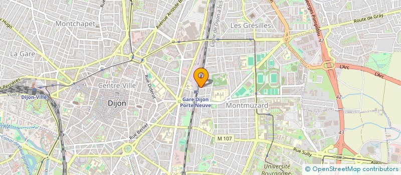localisation de l'entreprise MADAME AUDE MILLIERE à DIJON