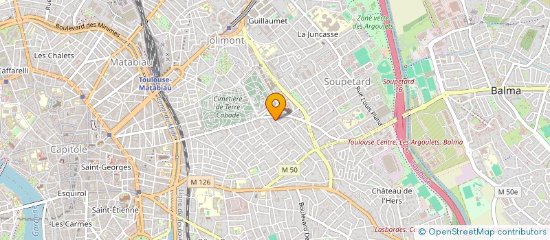 localisation de l'entreprise MADAME AUDE MONERRIS  TOULOUSE