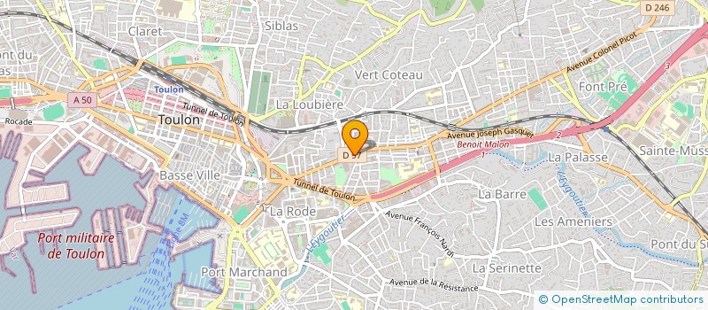 localisation de l'entreprise MADAME AUDE PALUSTRAN  TOULON