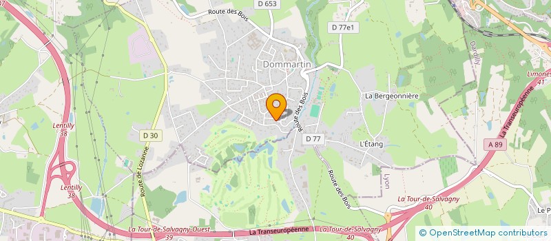 localisation de l'entreprise MADAME AUDE ROQUETTE  DOMMARTIN