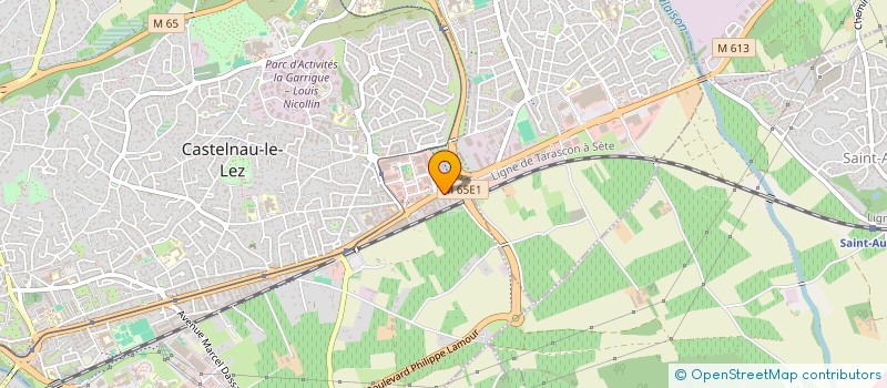localisation de l'entreprise MADAME AUDE VALFROY à CASTELNAU-LE-LEZ