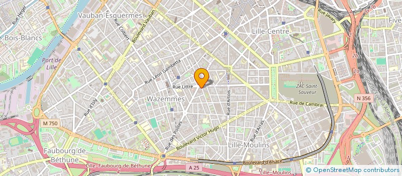 localisation de l'entreprise MADAME AUDELYN BRISSONNET à LILLE
