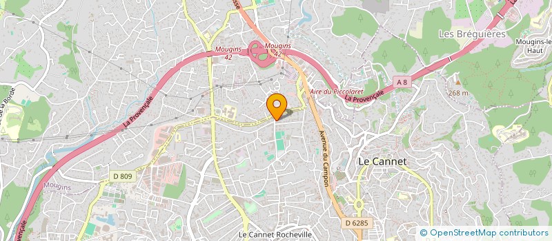 localisation de l'entreprise MADAME AUDISIO BERMON  LE CANNET