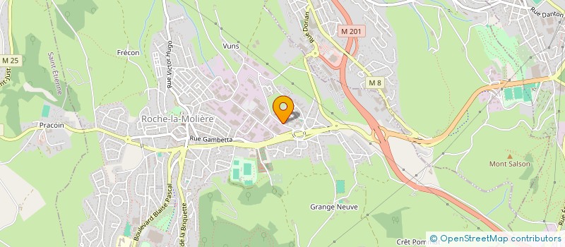 localisation de l'entreprise MADAME AUDREY BADOCHE  ROCHE-LA-MOLIERE