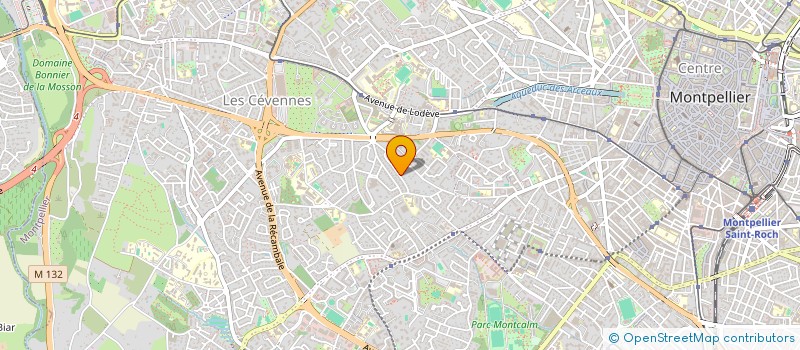 localisation de l'entreprise MADAME AUDREY BRASSOUD  MONTPELLIER