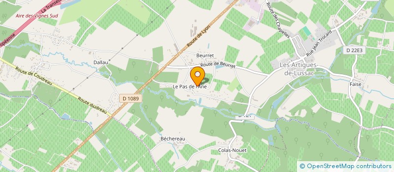 localisation de l'entreprise MADAME AUDREY CHAGNEAU  LES ARTIGUES-DE-LUSSAC