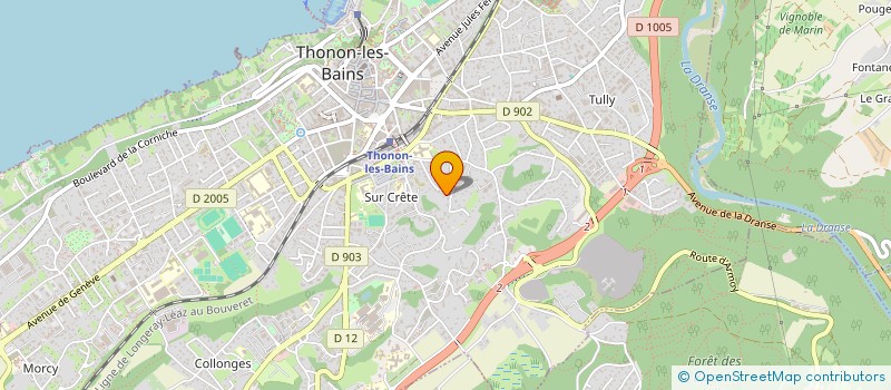 localisation de l'entreprise MADAME AUDREY CHEDAL à THONON-LES-BAINS