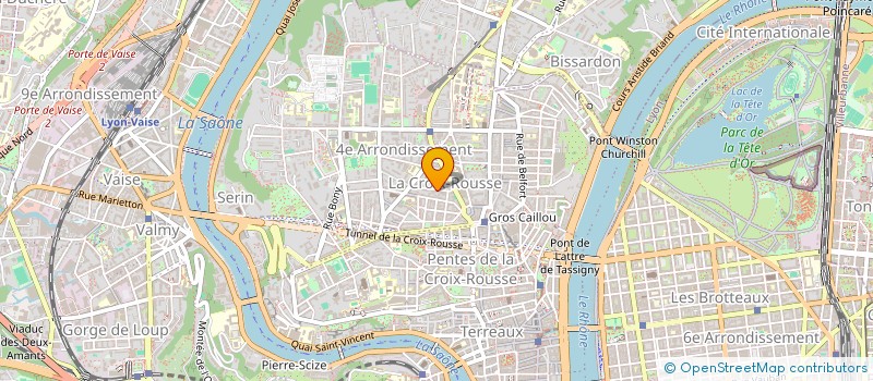 localisation de l'entreprise MADAME AUDREY CHEDAL ANGLAY  LYON