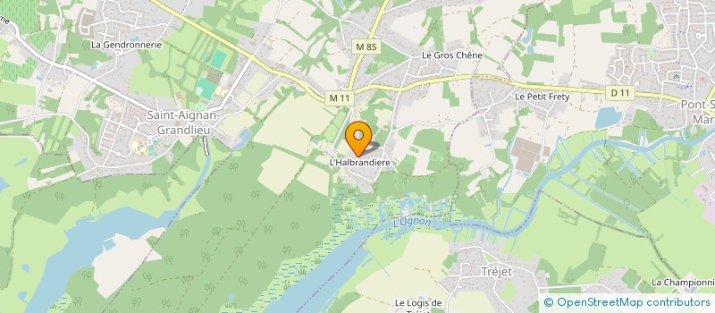 localisation de l'entreprise MADAME AUDREY CHIFFOLEAU  SAINT-AIGNAN-GRANDLIEU