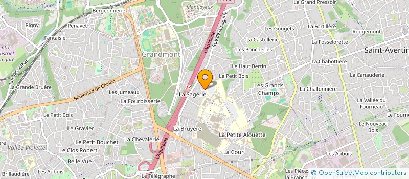 localisation de l'entreprise MADAME AUDREY COCUELLE  SAINT-AVERTIN