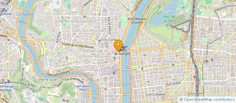 localisation de l'entreprise MADAME AUDREY CORRENOZ à LYON