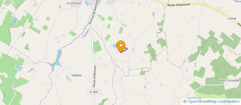 localisation de l'entreprise MADAME AUDREY COTUCHEAU  ALLEMANS-DU-DROPT