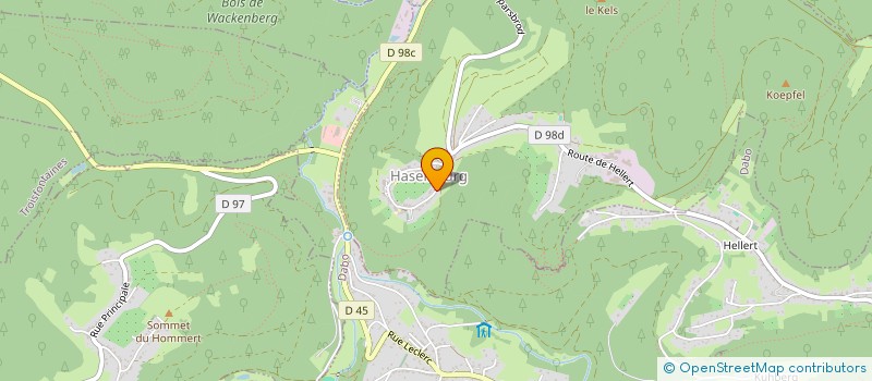 localisation de l'entreprise MADAME AUDREY DE GRAZIA  HASELBOURG