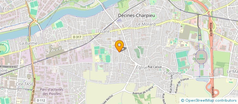 localisation de l'entreprise MADAME AUDREY ELIAZORD  DECINES-CHARPIEU