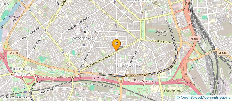 localisation de l'entreprise MADAME AUDREY FELIX  LILLE