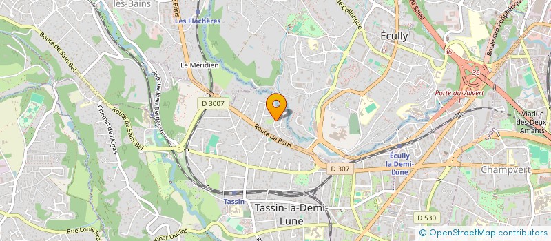 localisation de l'entreprise MADAME AUDREY FICHET  TASSIN-LA-DEMI-LUNE