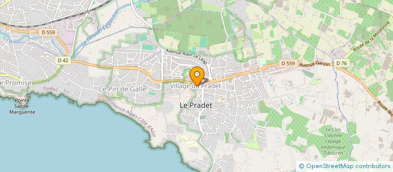 localisation de l'entreprise MADAME AUDREY JOSEPH  LE PRADET