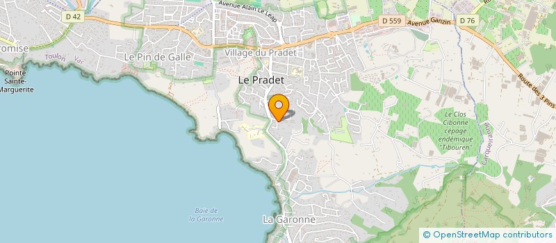 localisation de l'entreprise MADAME AUDREY LO POTRO  LE PRADET