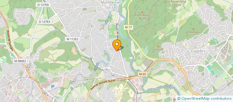 localisation de l'entreprise MADAME AUDREY LOURDIN  MONTFERRIER-SUR-LEZ