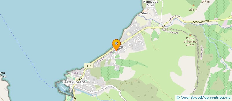 localisation de l'entreprise MADAME AUDREY LUIGI  SAINT-FLORENT