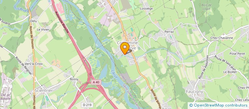 localisation de l'entreprise MADAME AUDREY MANDON  CONTAMINE-SUR-ARVE