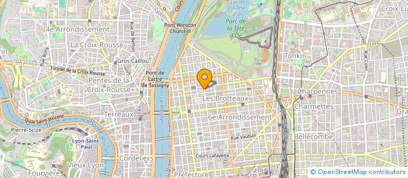 localisation de l'entreprise MADAME AUDREY MARCELINO  SAINT-DIDIER-AU-MONT-D'OR