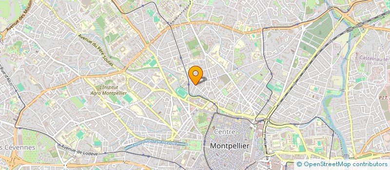 localisation de l'entreprise MADAME AUDREY MARCHADOUX à MONTPELLIER