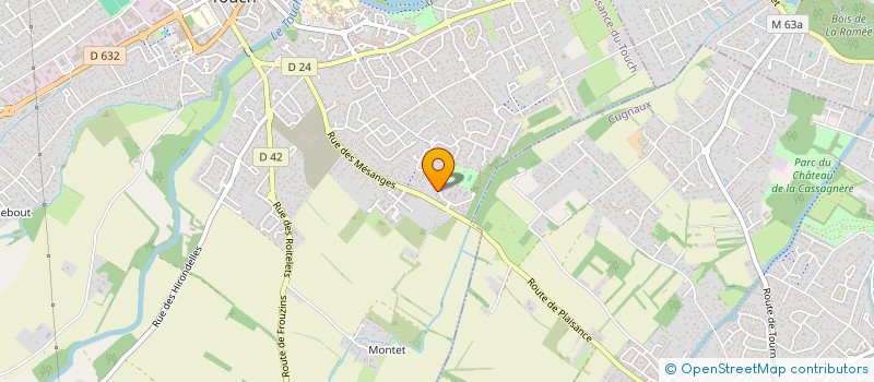 localisation de l'entreprise MADAME AUDREY MOEVI  PLAISANCE-DU-TOUCH