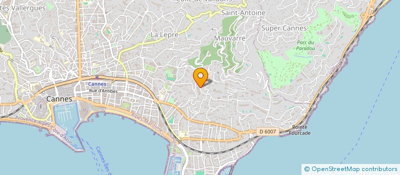 localisation de l'entreprise MADAME AUDREY PLUVINAGE à CANNES