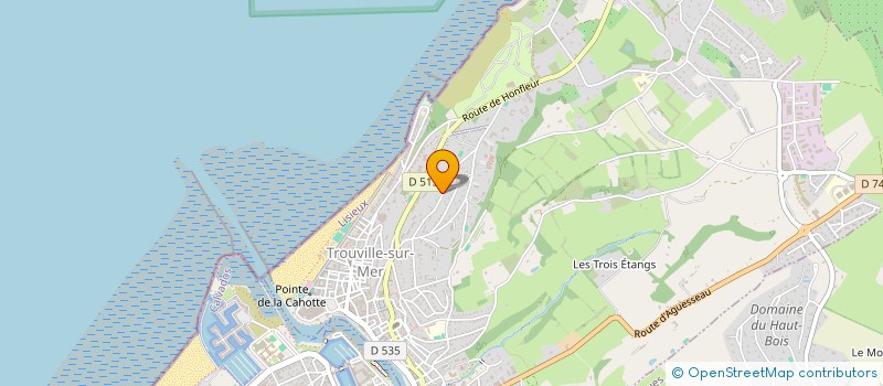 localisation de l'entreprise MADAME AUDREY SALAUN  TROUVILLE-SUR-MER