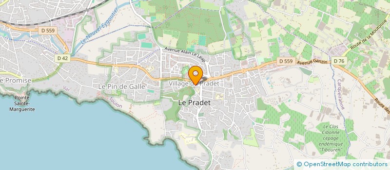 localisation de l'entreprise MADAME AUDREY SYLVESTRE-BRU  LE PRADET