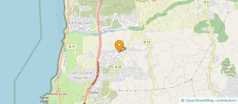 localisation de l'entreprise MADAME AUDREY TANGAMOUTOU  SAINT-LEU