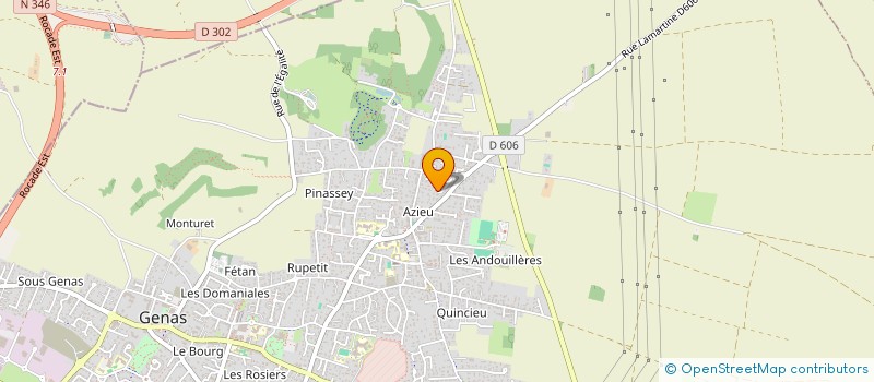 localisation de l'entreprise MADAME AUDREY VICARIO  GENAS