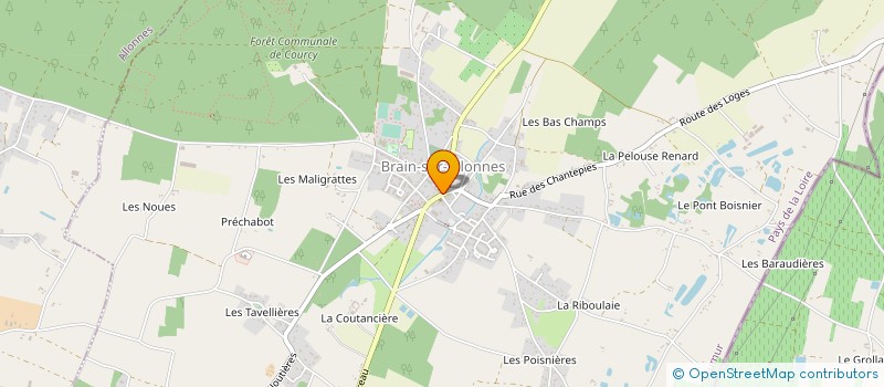 localisation de l'entreprise MADAME AURELIA DELAHAYE  BRAIN-SUR-ALLONNES