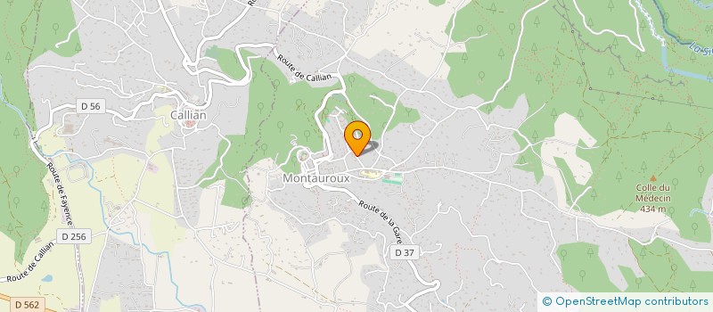 localisation de l'entreprise MADAME AURELIA GELLE  MONTAUROUX