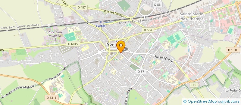 localisation de l'entreprise MADAME AURELIA GOT  SAINTE-MARIE-DES-CHAMPS