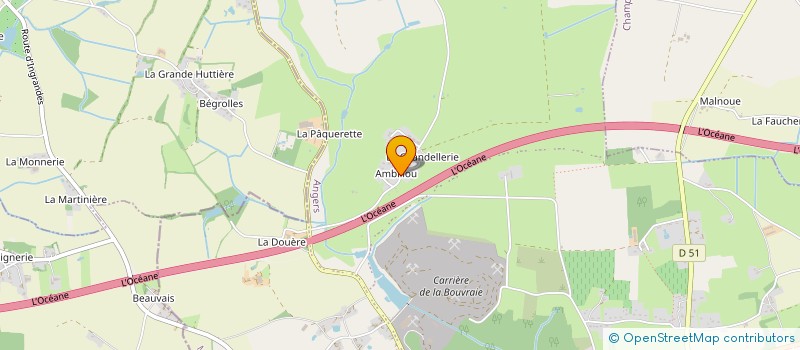 localisation de l'entreprise MADAME AURELIE BOISNEAU  INGRANDES-LE-FRESNE-SUR-LOIRE