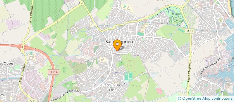 localisation de l'entreprise MADAME AURELIE DHELEMME  SAINT-CYPRIEN