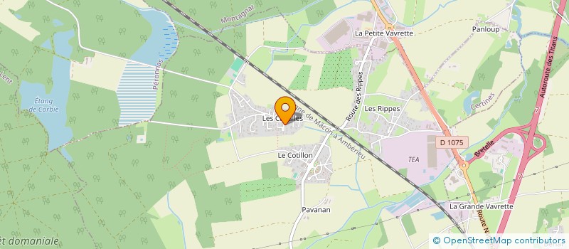 localisation de l'entreprise MADAME AURELIE JARRET à CERTINES