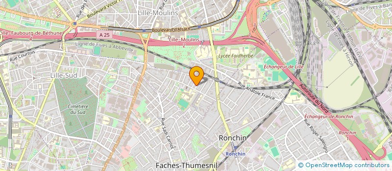 localisation de l'entreprise MADAME AURELIE JESSON à LILLE