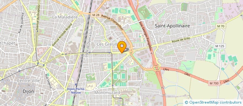 localisation de l'entreprise MADAME AURELIE LUIZARD à DIJON