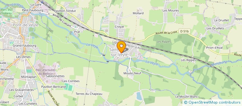 localisation de l'entreprise MADAME AURELIE MARTIN  SAINT-JEAN-SUR-VEYLE