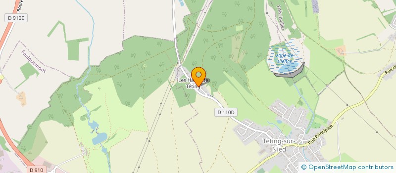 localisation de l'entreprise MADAME AURELIE PFISTER  TETING-SUR-NIED